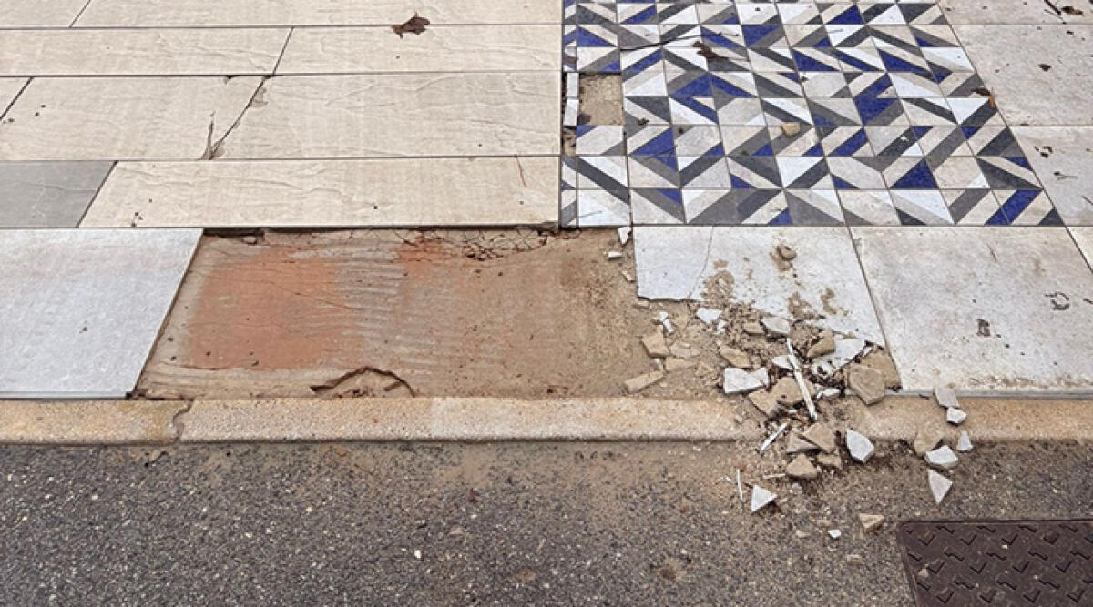 Il degrado del lungomare di Rimini: vegetazione abbandonata e infrastrutture danneggiate -