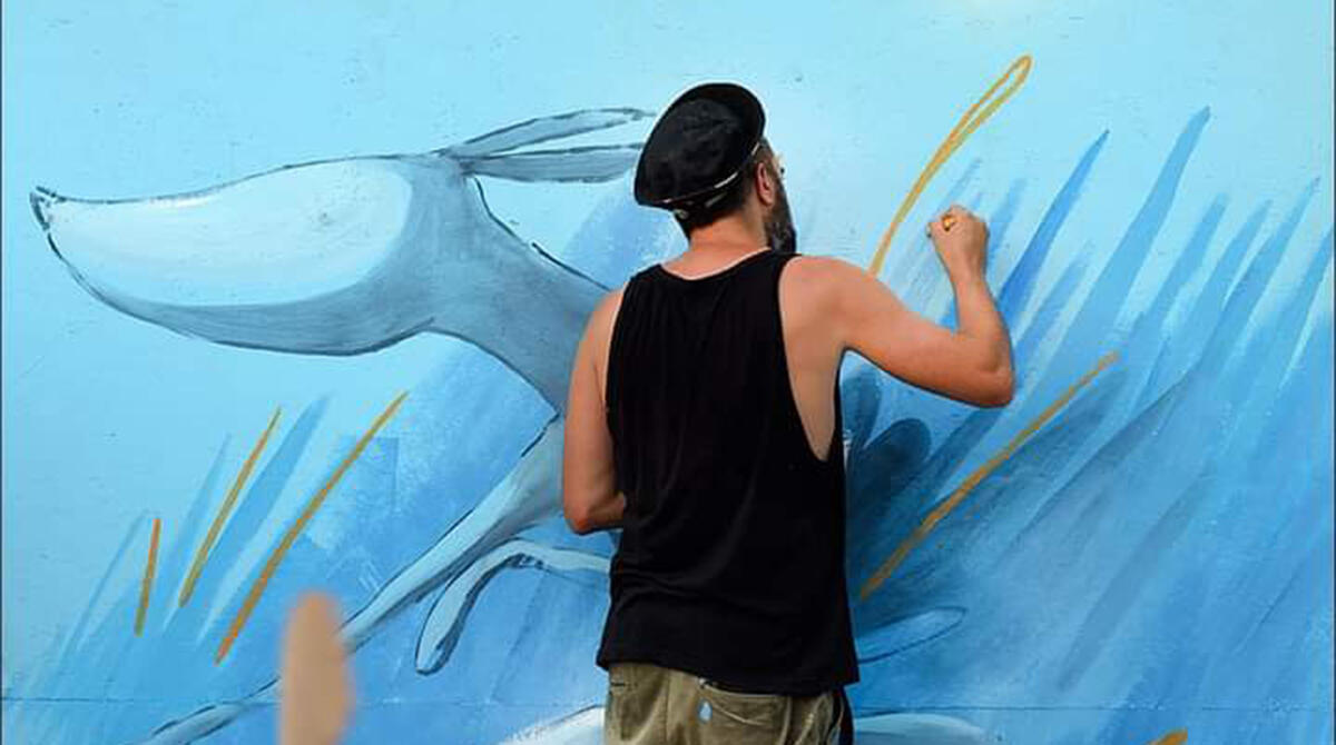 Riccione avrà un nuovo reparto per curare le malattie dei gatti. Tutto merito dei graffiti - Il progetto "Graffi di Cane" a Riccione