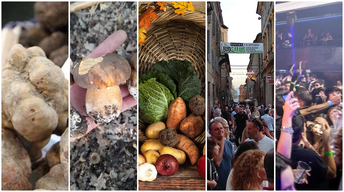 Un weekend dal sapore autunnale: le migliori sagre ed eventi in provincia e dintorni - Eventi inizio ottobre 2024 in programma in provincia di Rimini e dintorni