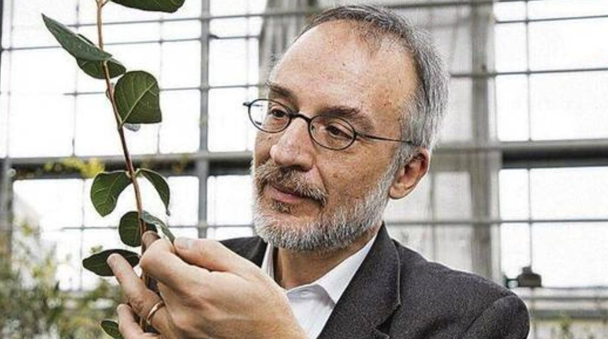 Come le piante migliorano l'ambiente urbano: Riccione a lezione con Stefano Mancuso - Stefano Mancuso