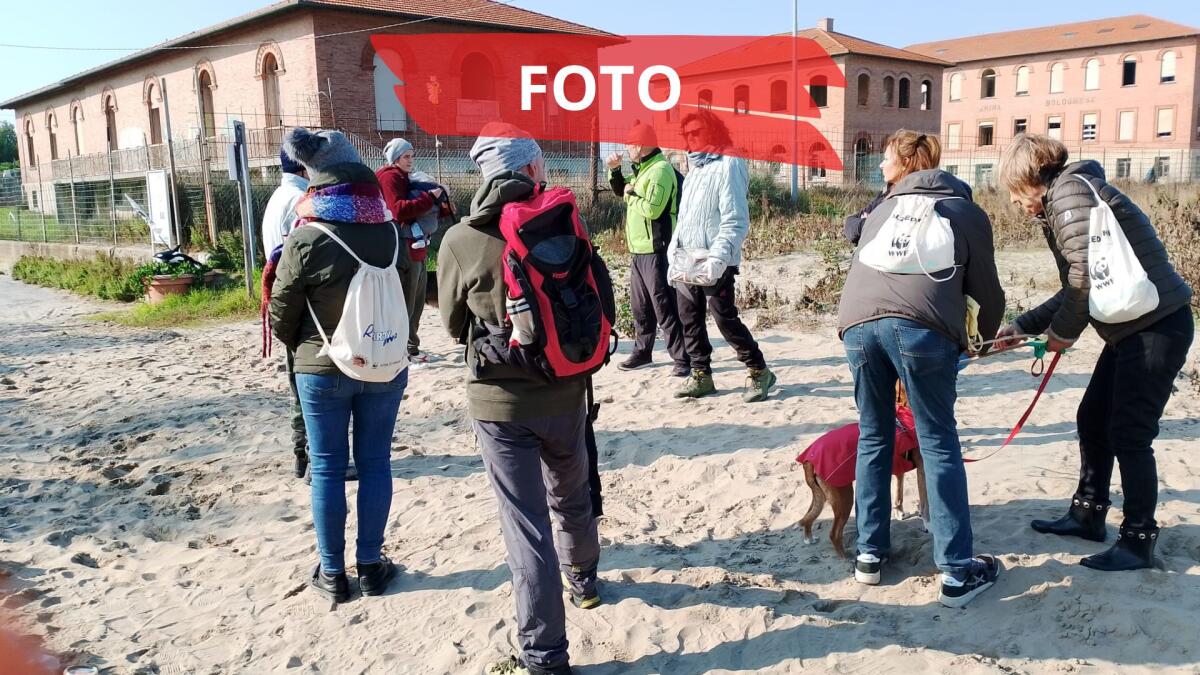 Volontari in azione per ripulire dai rifiuti la Costa del Marano -