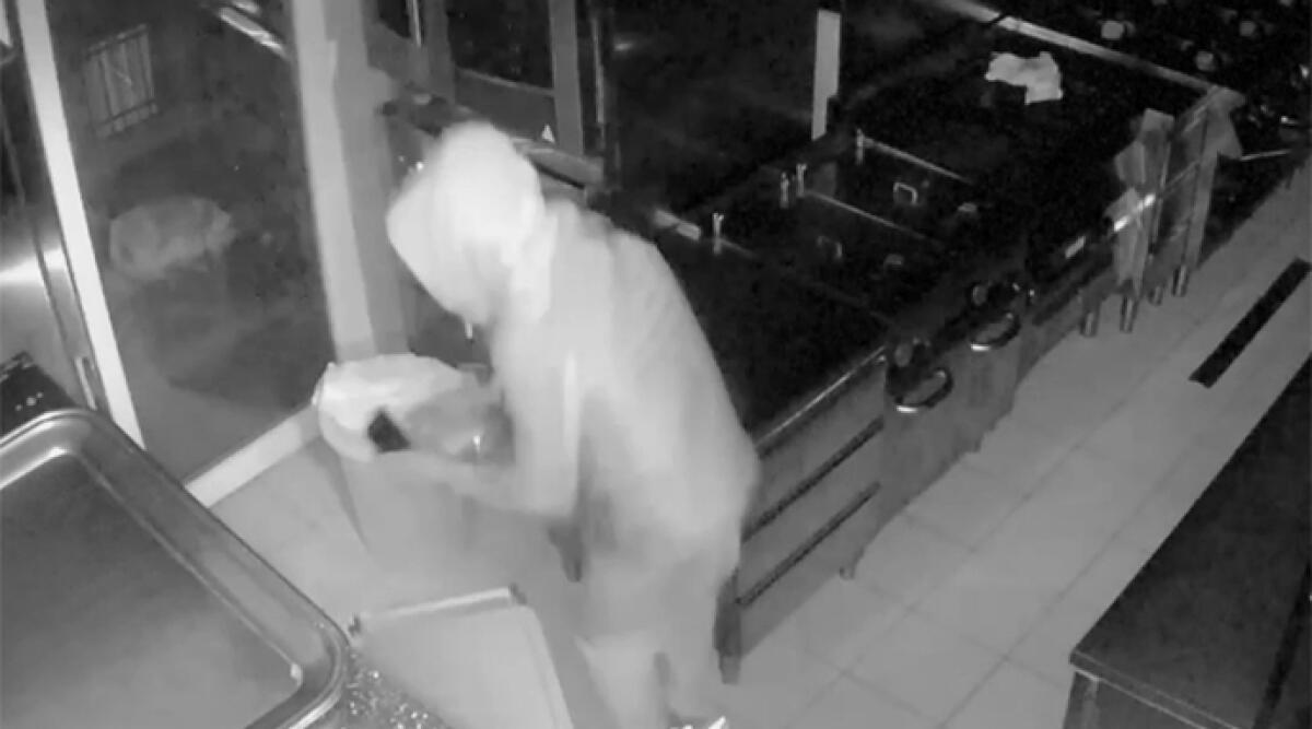 Arrestato il ladro seriale di Miramare: 15 colpi in un mese - Il ladro ripreso dalle telecamere