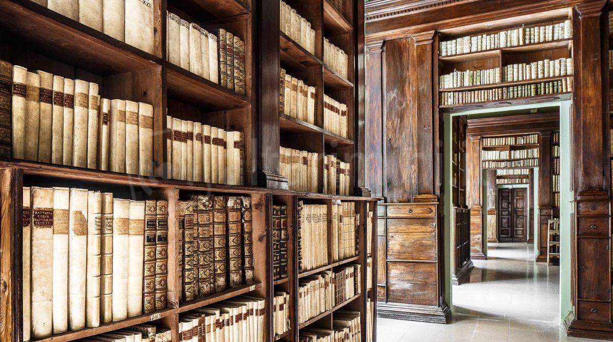 Tutte le mostre e le visite guidate nel weekend riminese -