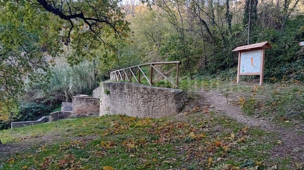 Valorizzazione sentieristica: 11esimo posto per Montescudo-Montecolombo al bando regionale -