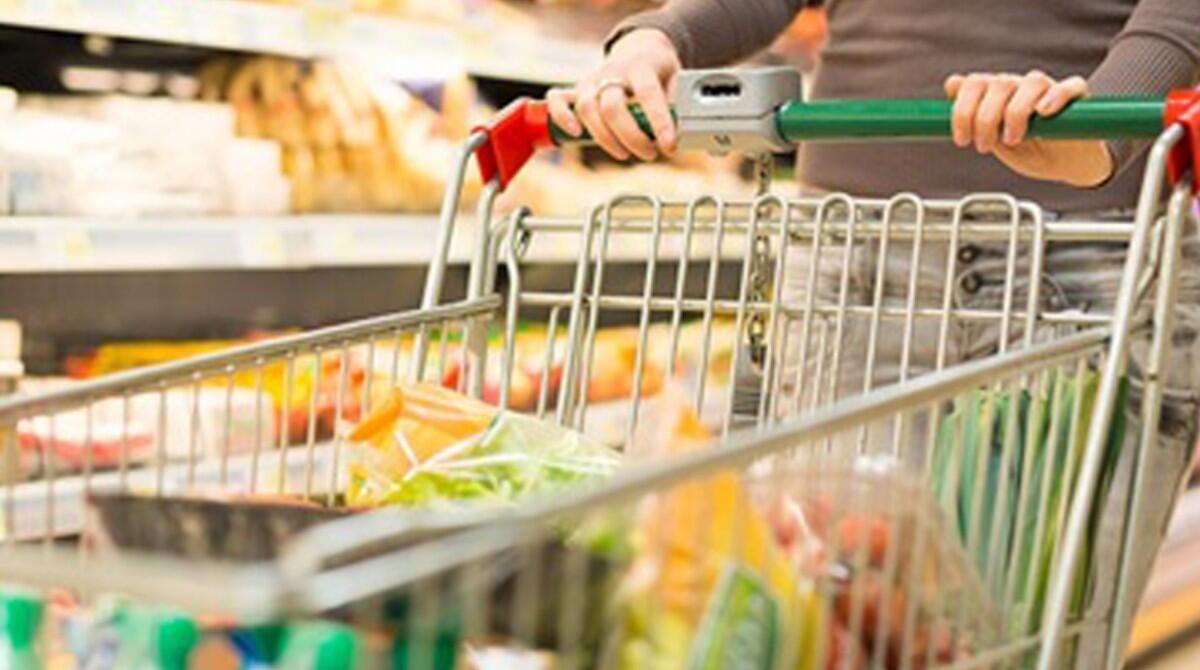 Trasparenza e impegno sociale: il primo bilancio sociale di Titancoop - Repertorio
