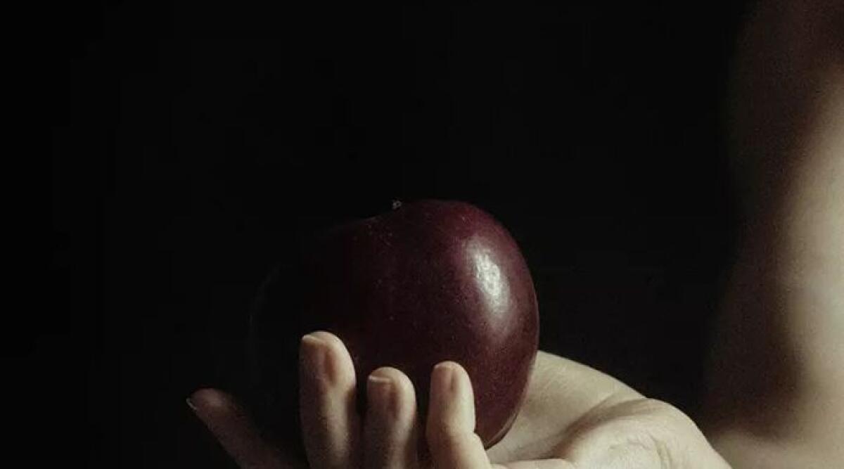 Arte contemporanea e foto, a Bologna apre la Galleria Leòn -