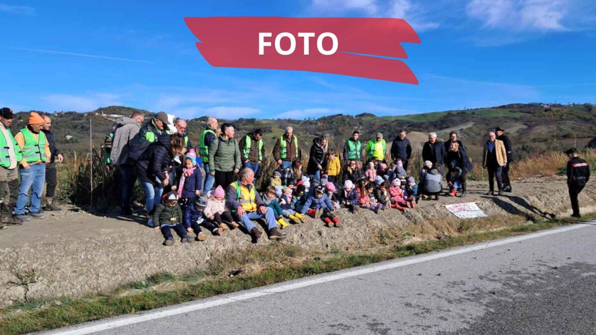 L'Alta Valmarecchia celebra la Giornata dell'Albero, protagonisti i bambini - 