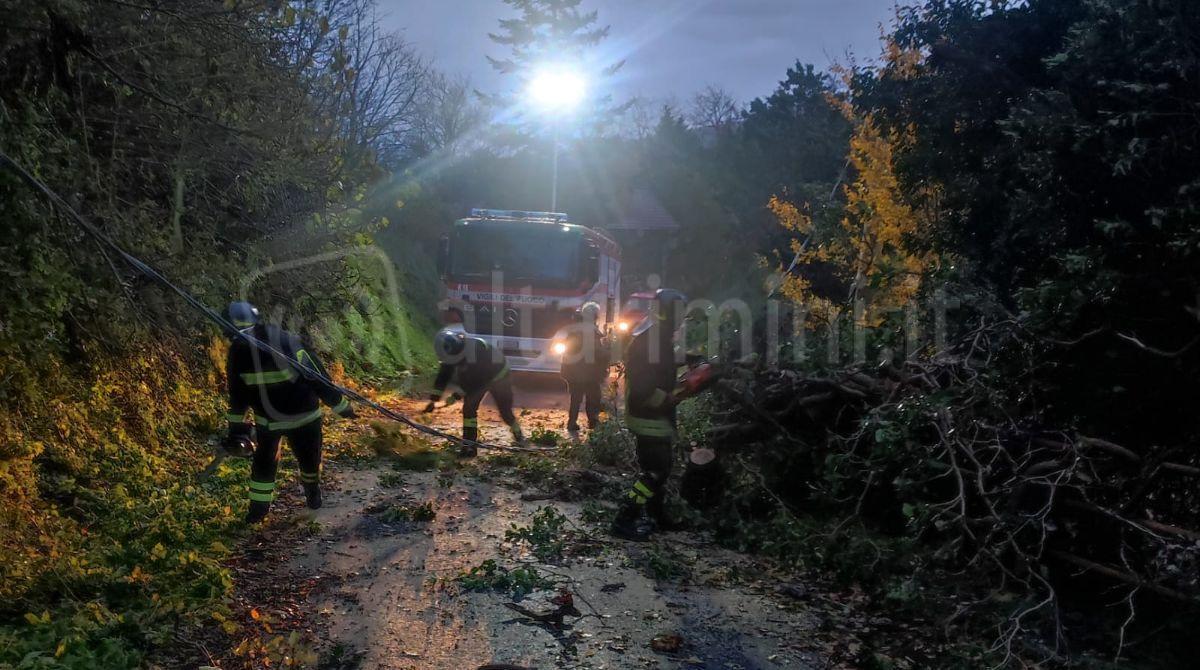 Maltempo, riaperta la strada bloccata da un albero caduto a Gattara di Casteldelci -
