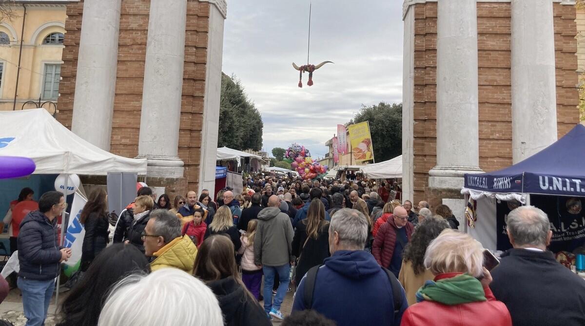 La Fiera di San Martino candidata al Premio Italive.it - Fiera di San Martino