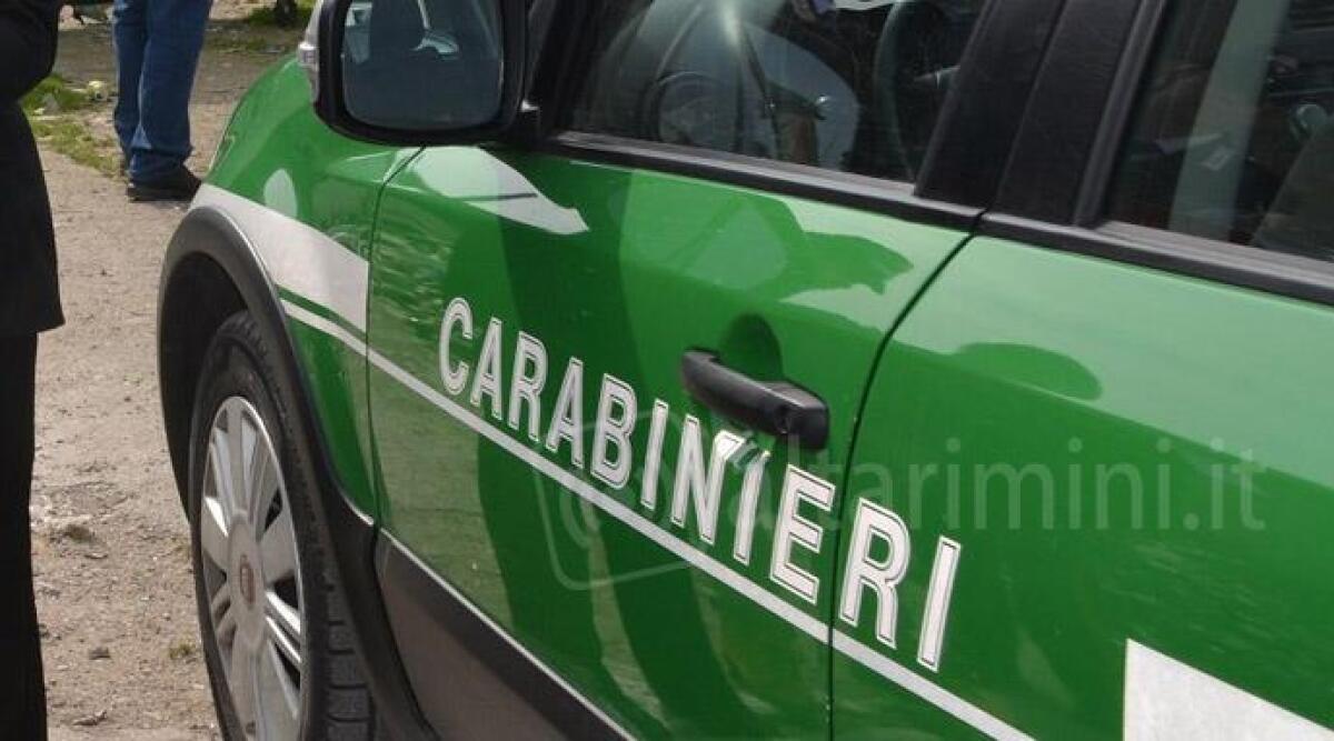 Abbandona rifiuti da cantiere ma viene scoperto e sanzionato: verbale da 2500 euro -