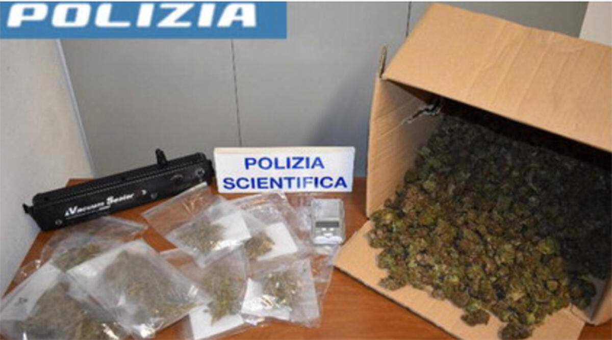 Cesena: arrestato con oltre un chilo di marijuana, sostiene fosse per uso personale - La droga sequestrata
