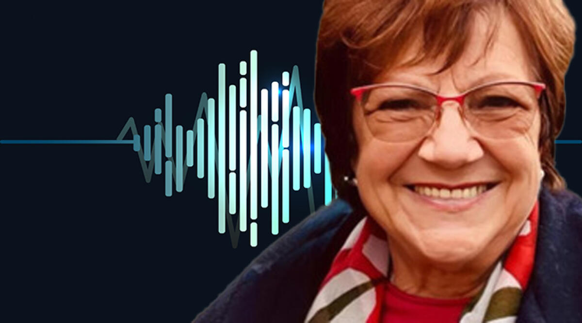 Omicidio Paganelli: perizia sull'audio che potrebbe rivelare l'assassino - Sound wave equalizer vector design