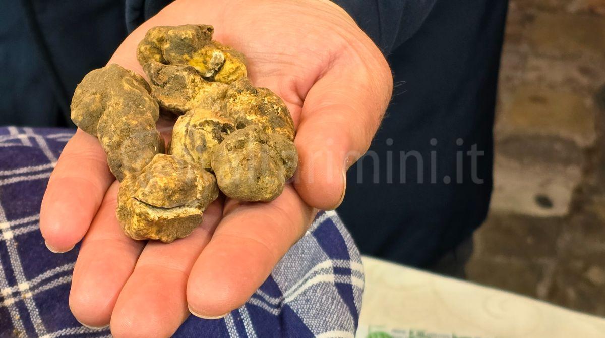 Sapori d'autunno protagonisti a Mondaino con la XXII edizione di Fossa, Tartufo & Venere -