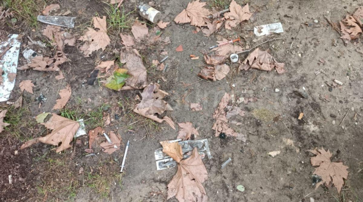 Siringhe usate abbandonate tra le foglie nel parco: la segnalazione -