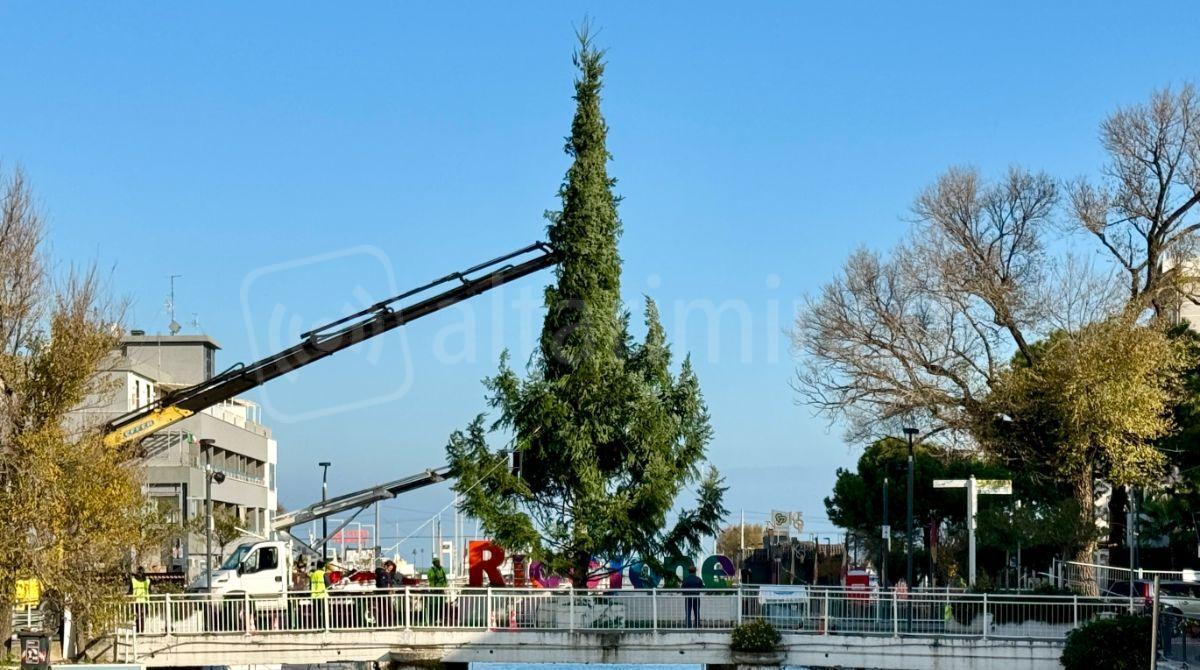Riccione accende il Natale con l'arrivo del grande albero sul ponte del porto canale - 
