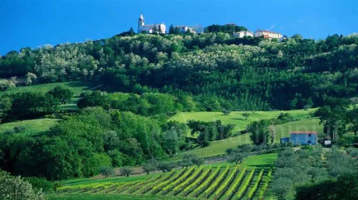 Valconca promossa tra le 'Unioni in sviluppo': nuovi fondi e opportunità per il territorio - Panorama della Valconca