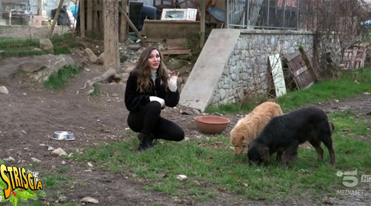 Striscia la Notizia aiuta il rifugio per cani a Sant’Agata Feltria - Un fermo immagine del servizio tv