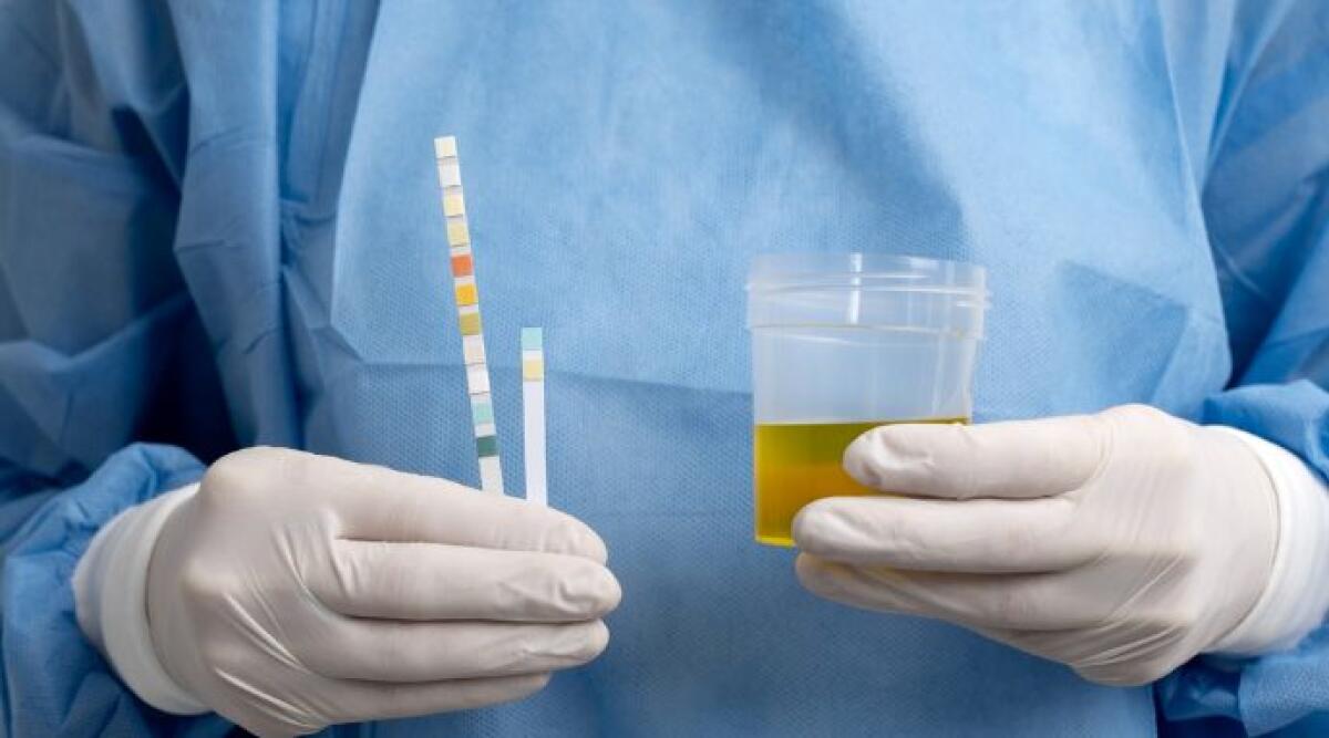 Scambio di urine all’ospedale di Novafeltria: il caso arriva in Cassazione - Foto di repertorio