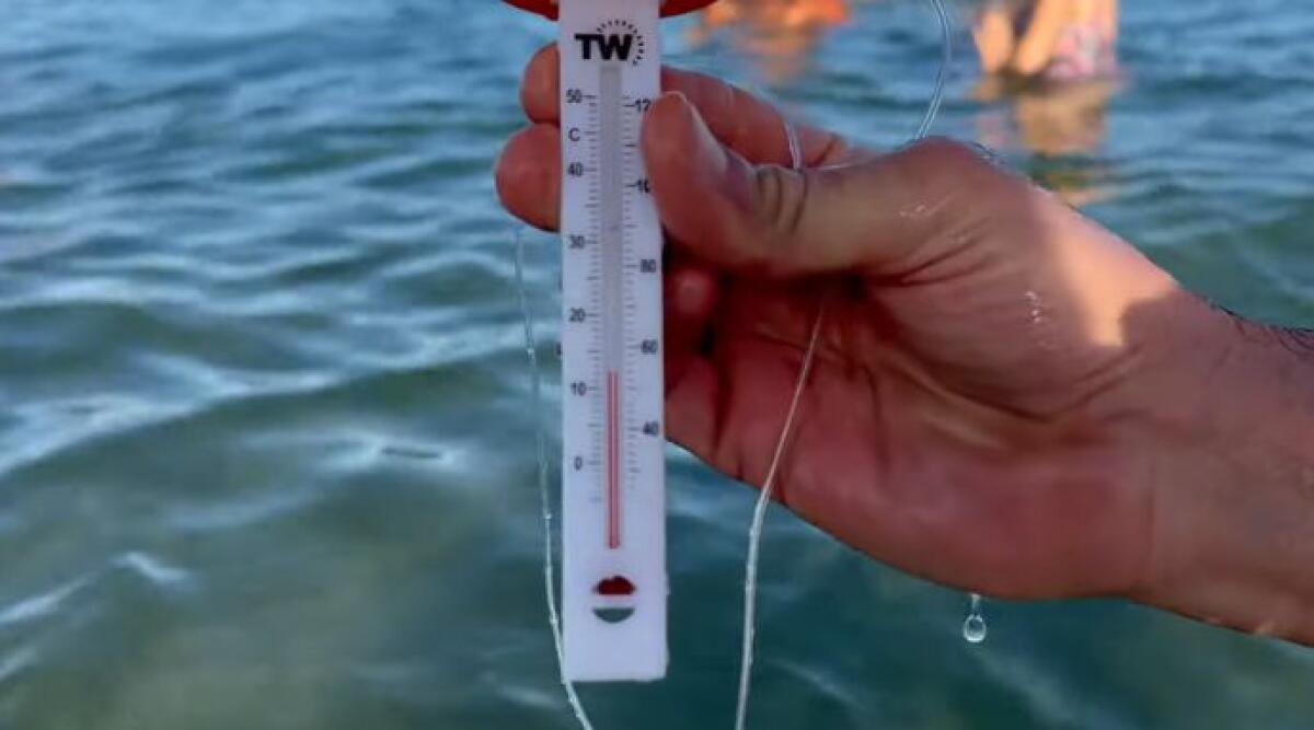 Freddo, salute e divertimento: torna a Rimini il bagno al mare di Natale - 