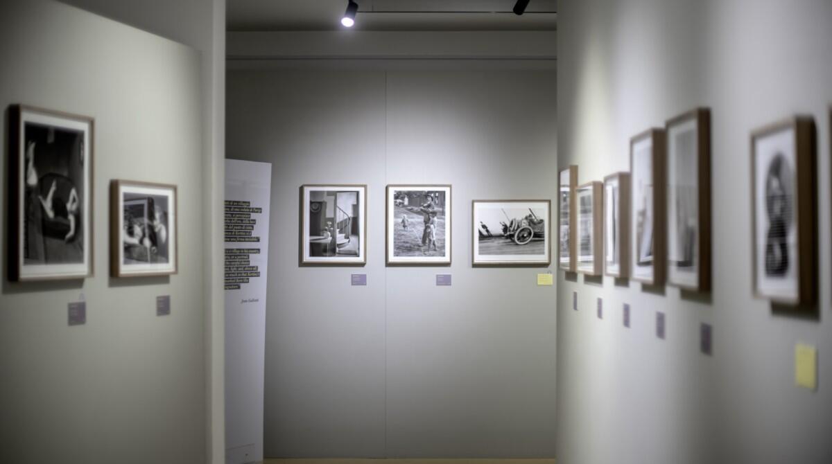 Riccione, mostre fotografiche gratuite in Villa Franceschi e Villa Mussolini - Lartigue e Kertesz_Villa Mussolini
