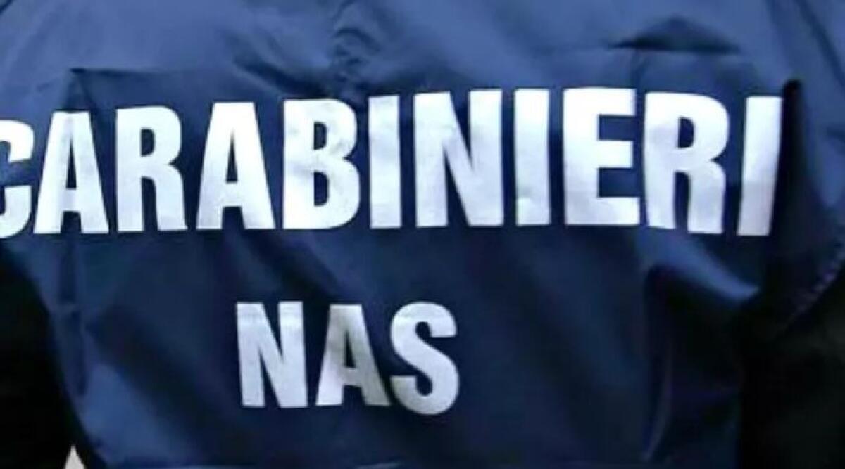 Controlli Nas, un b&amp;b in un garage, 1 su 5 irregolare - 