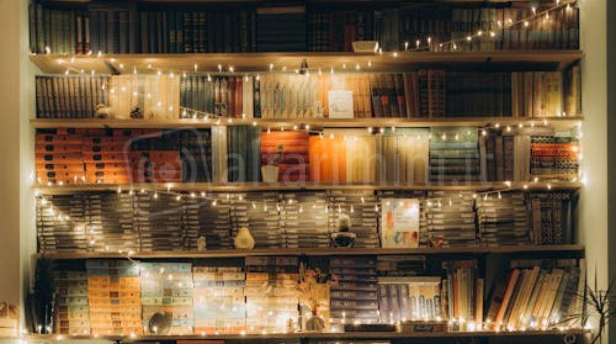 Libri sotto l'Albero: consigli per letture da fare o da regalare a Natale -
