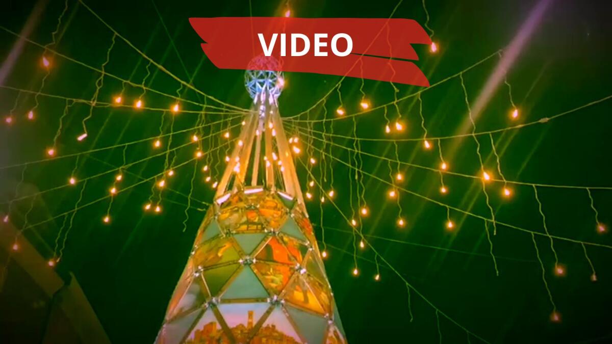 Santarcangelo, si accendono le luminarie e il grande albero dedicato a Pino Boschetti -