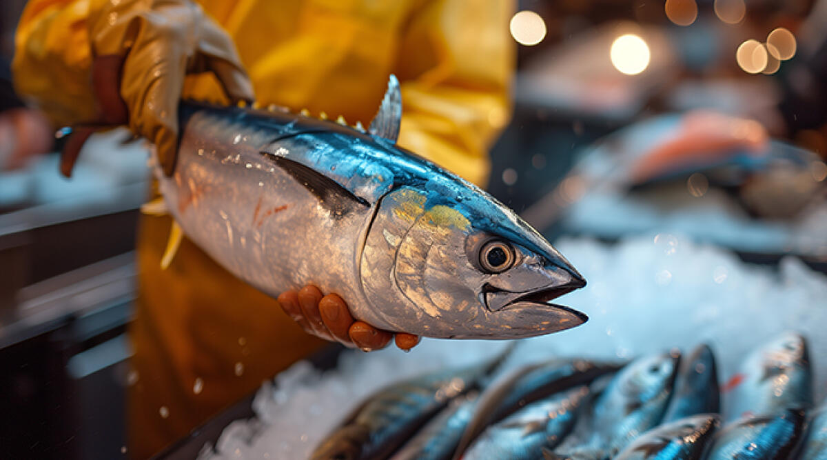 Natale, pesce fresco garantito sulle tavole dei riminesi: ma prezzi "su" per il maltempo - Foto di repertorio