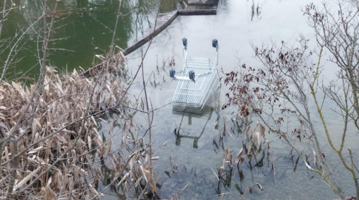 Carrello della spesa a mollo sotto al ponte. La segnalazione - 