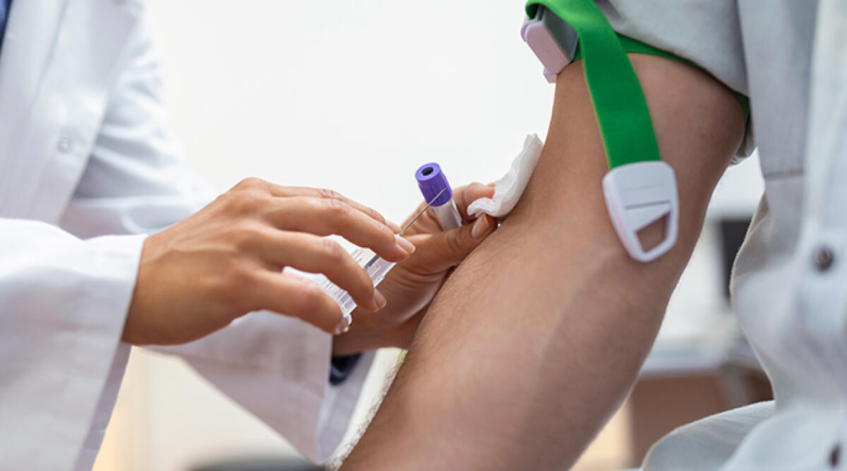 Nuovo punto prelievi a Misano Adriatico - Trasfusione sangue,ertorio