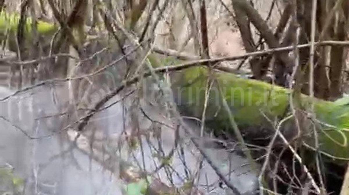 Guasto alla tubatura, grossa perdita d’acqua nel bosco di Monte Benedetto -