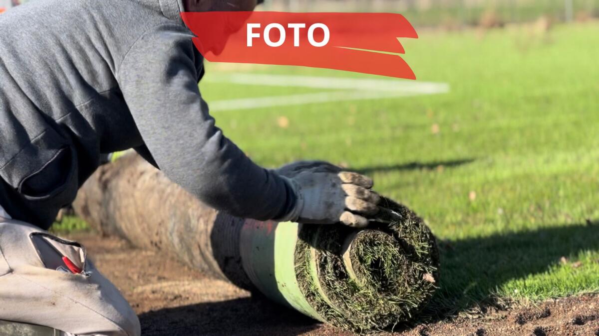 Rimini Calcio: ripartiti i lavori al centro sportivo della Gaiofana - 