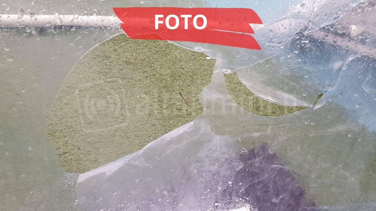 Vandali in azione di notte al Bagno 26 di Rimini: "Abbiamo avuto la visita di qualche asino..." - 