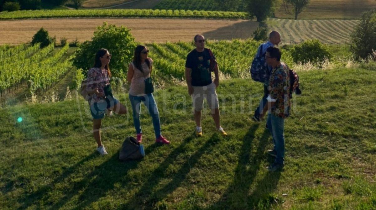 Camminata tra le vigne di Coriano: alla scoperta delle erbe spontanee e delle tradizioni romagnole -