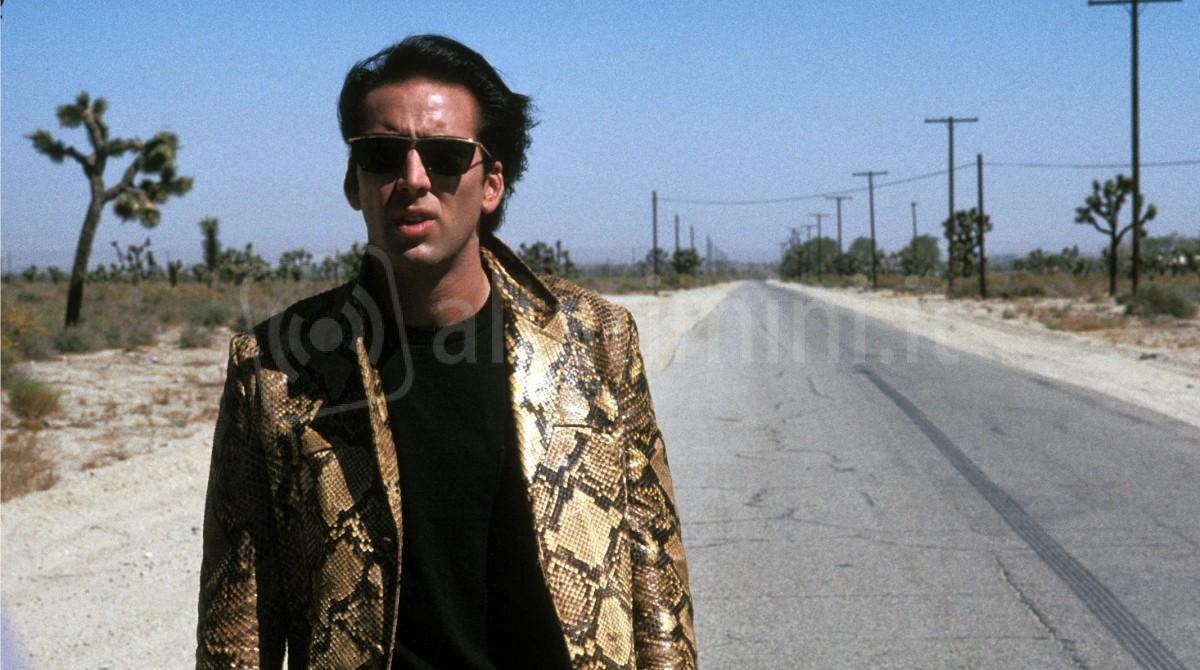 Omaggio a David Lynch: la Cineteca di Rimini proietta "Cuore selvaggio" - Scena presa da "Cuore selvaggio"