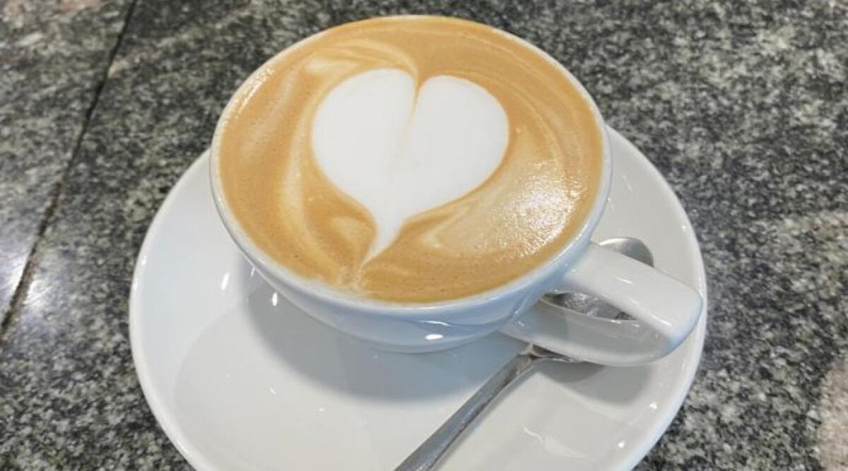 'Cappuccino Perfetto 2025': gli studenti del Malatesta si sfidano a colpi di crema e gusto -