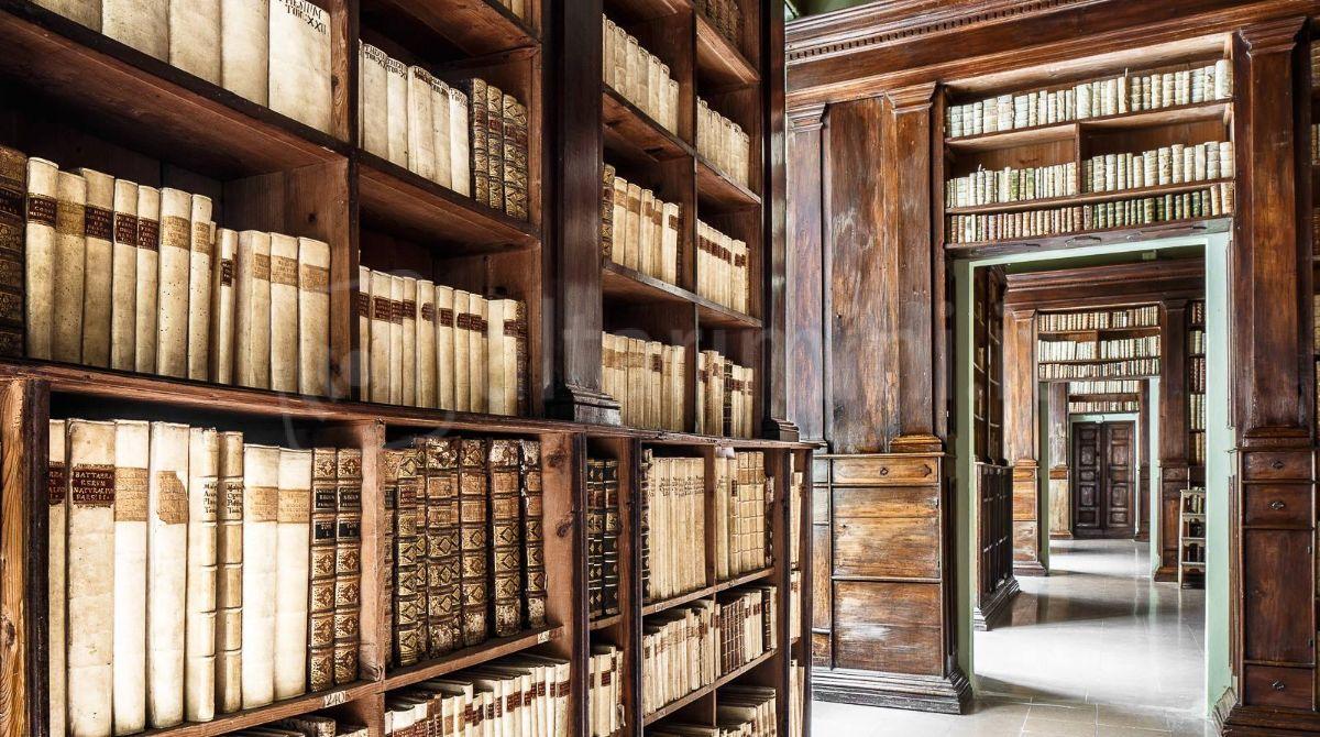 Dalla Gambalunga alle mostre, tutte le iniziative culturali nel weekend riminese - Repertorio