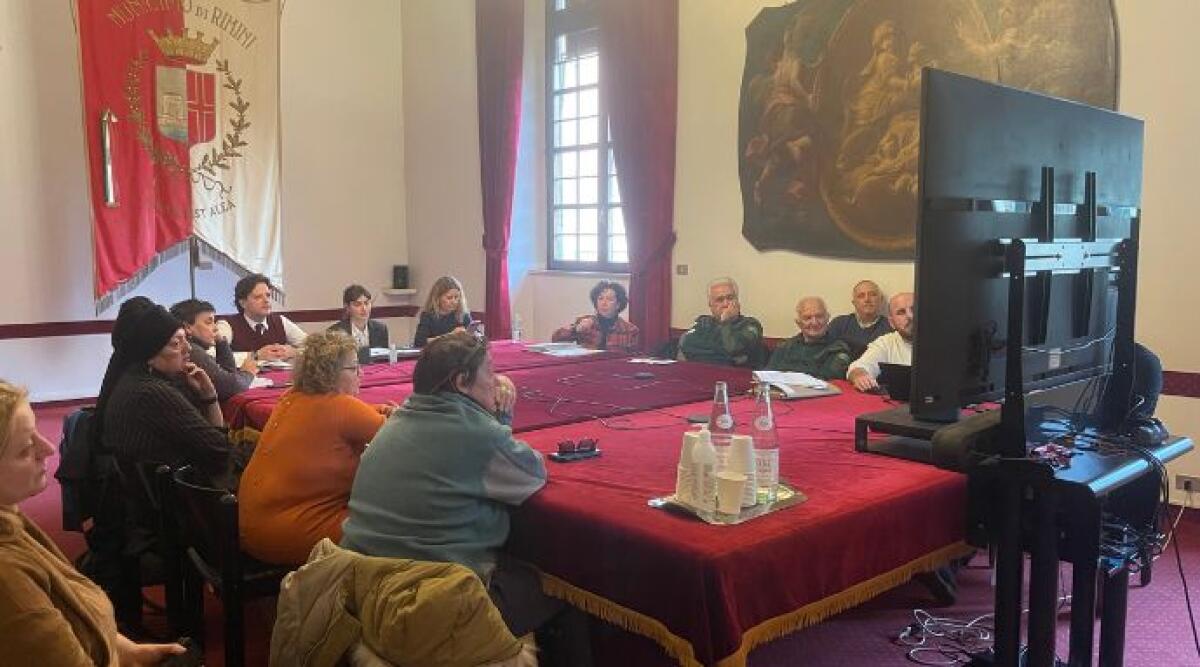 Nuovo gattile di Rimini: cantiere al via in Aprile, in autunno l'apertura - 