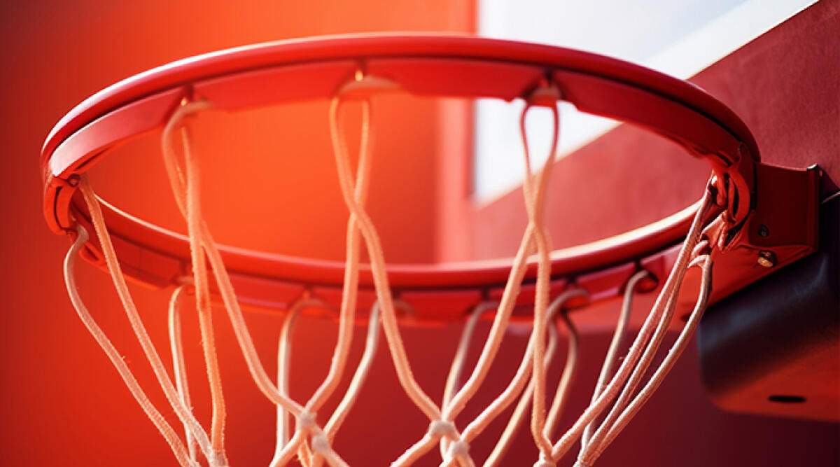 Urla "scimmia" alla giocatrice di basket, mamma rischia il Daspo -