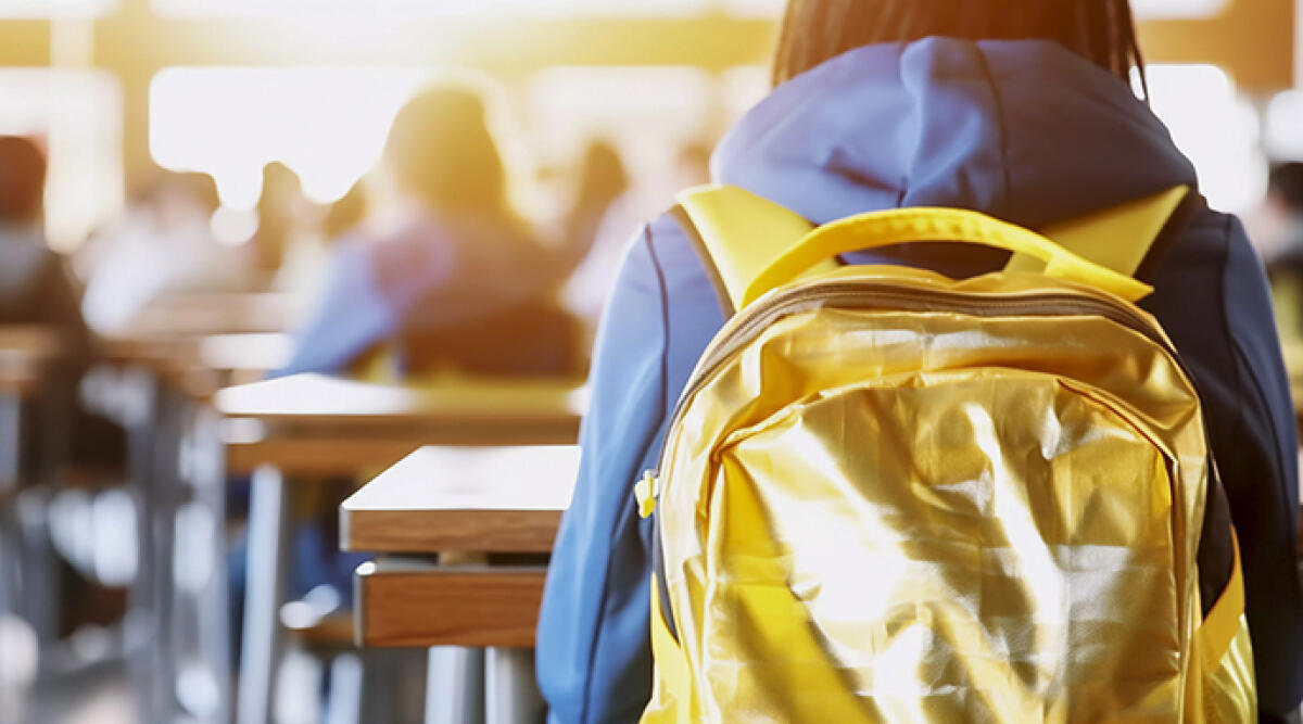 Sospensione docenti al Serpieri: 'Atto spropositato e ingiustificato' - 