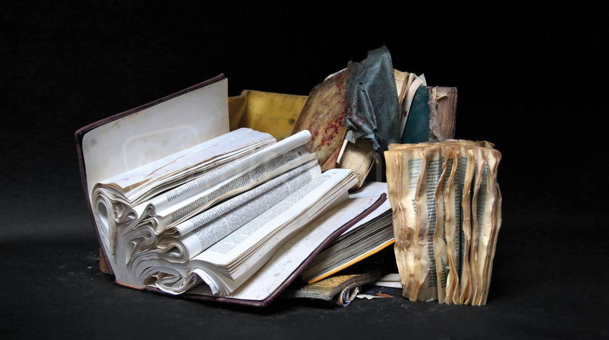 Venezia sommersa, libri salvati: l’arte di Patrizia Zelano in mostra a Rimini - Libri danneggiati durante l'alluvione di Venezia 11/2019 recuperati dalla libreria Acqua Alta e nei rifiuti di una casa privata
