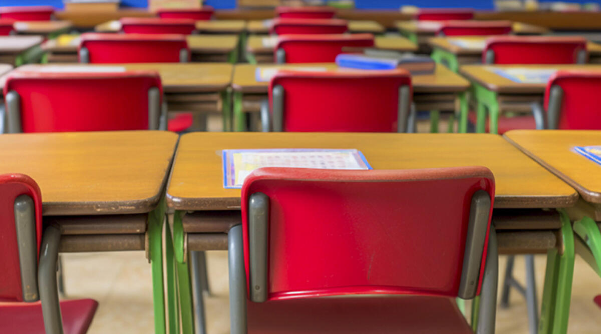 Rimini, un nuovo patto per la scuola “Il Glicine”: orto didattico e cura del verde grazie ai volontari - Archivio