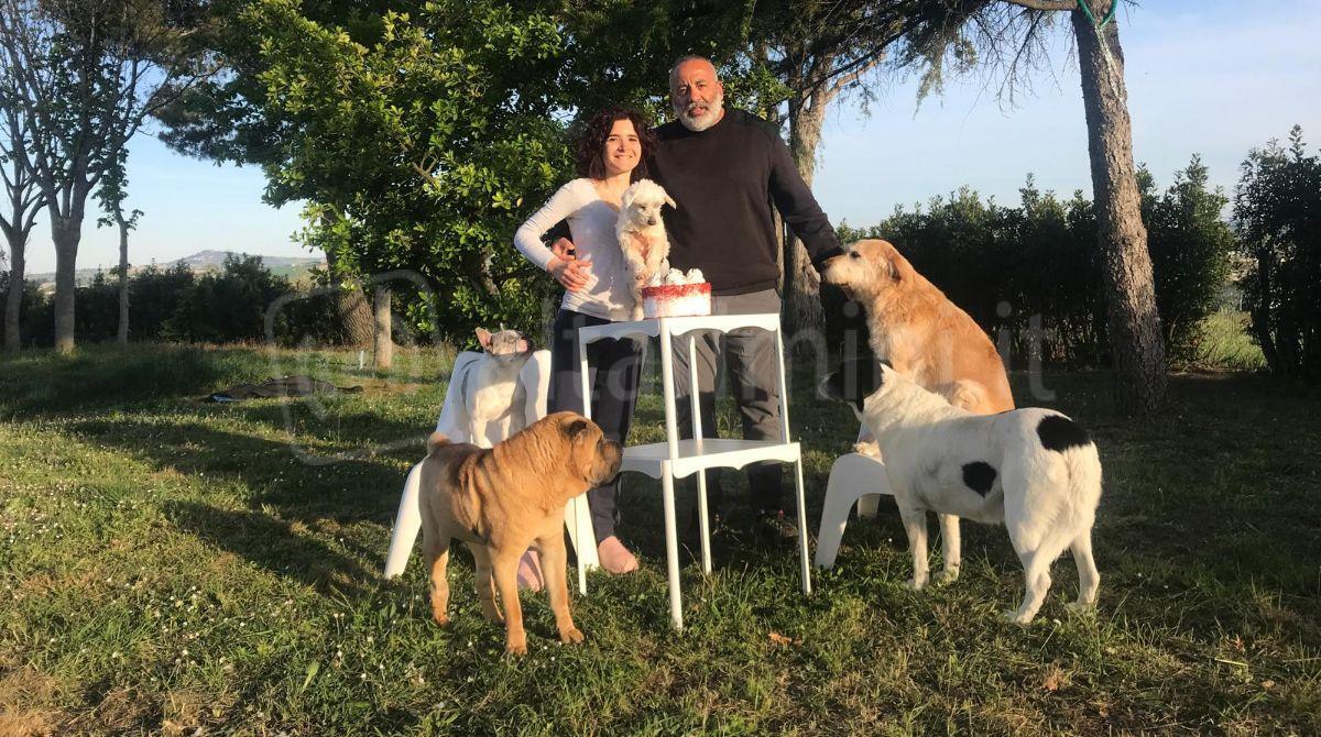 Canile Intercomunale di Riccione: numeri in crescita e nuove adozioni, ma anche rinunce e sfide quotidiane -