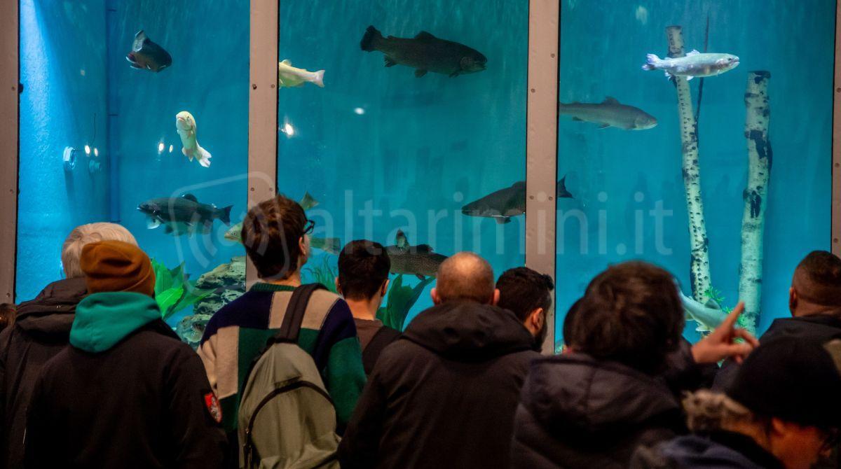 Pescare show per la prima volta in Fiera a Rimini: 3 giorni di "immersione" nel mondo della pesca - 