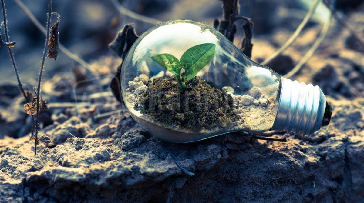 Prende il via a Rimini il progetto ‘Praticare la transizione’ -