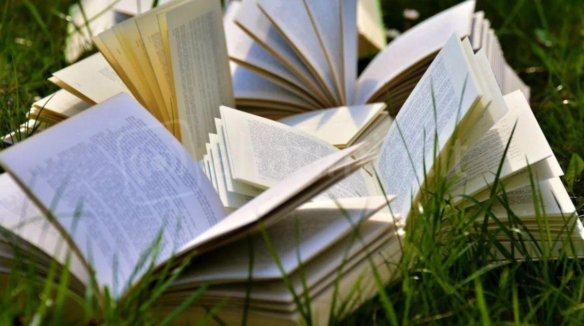 "A spasso con i libri": doppio appuntamento al Museo di Rimini -
