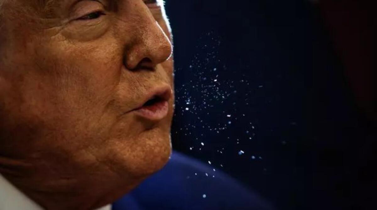 I dazi di Trump minacciano l’export romagnolo, Rimini la provincia più esposta - Ph Ansa