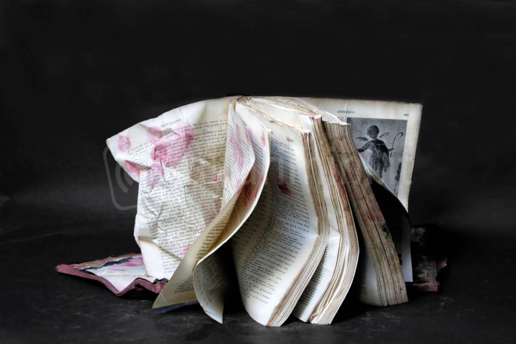 Ph Patrizia Zelano