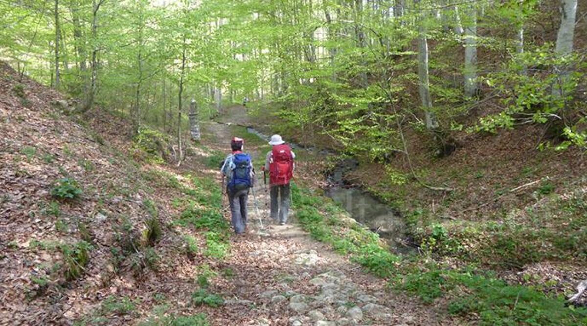 Riapertura dei sentieri del Cammino di San Vicinio: presentazione della guida aggiornata - Cammino Repertorio