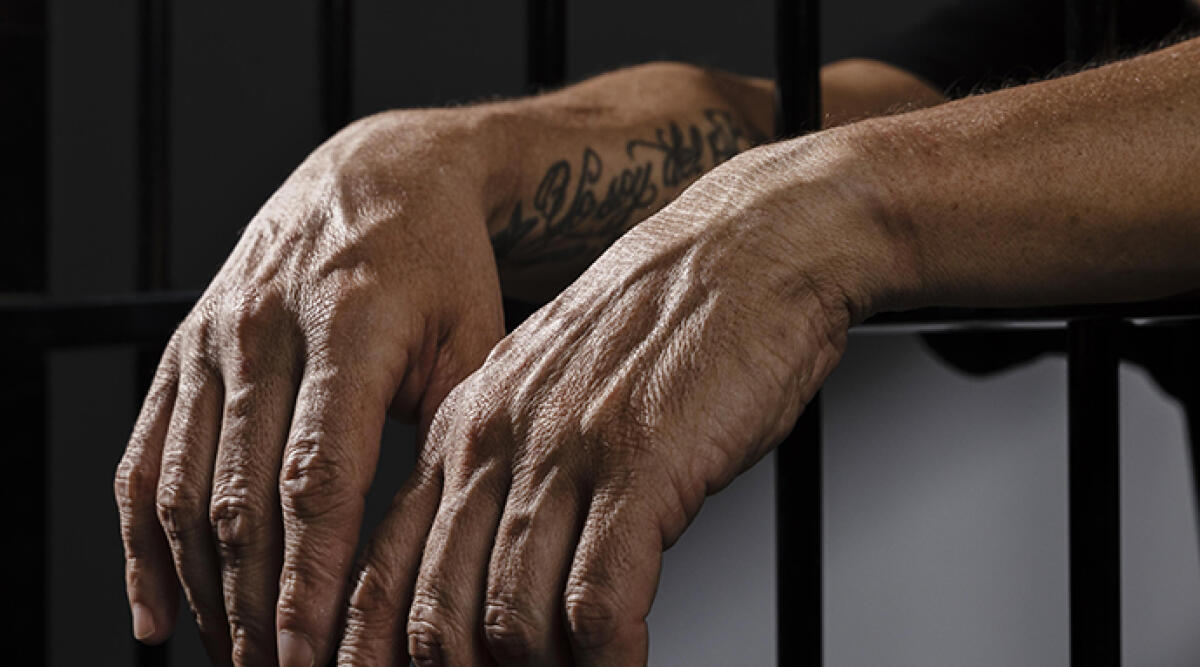 Evasione alla Dozza: detenuto albanese fugge durante il trasferimento - Foto di repertorio